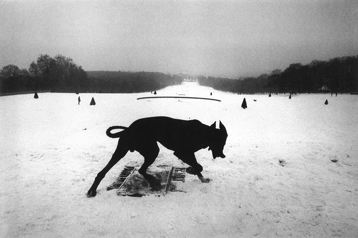 Czeslaw Milosz on Josef Koudelka’s Exiles