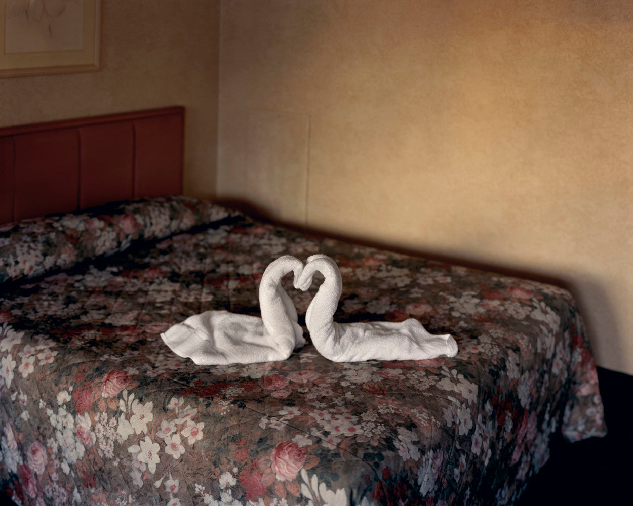 Alec Soth — Niagara