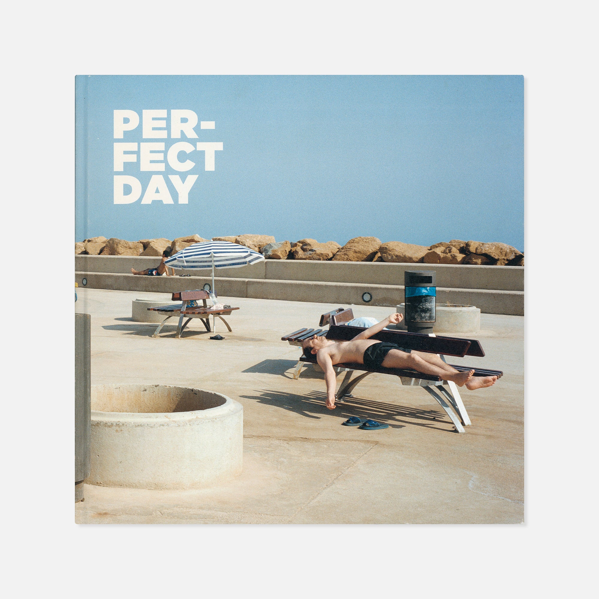 Txema Salvans — Perfect Day