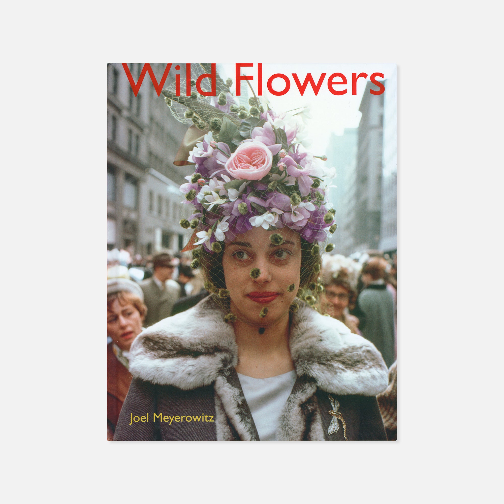 Joel Meyerowitz — Wild Flowers