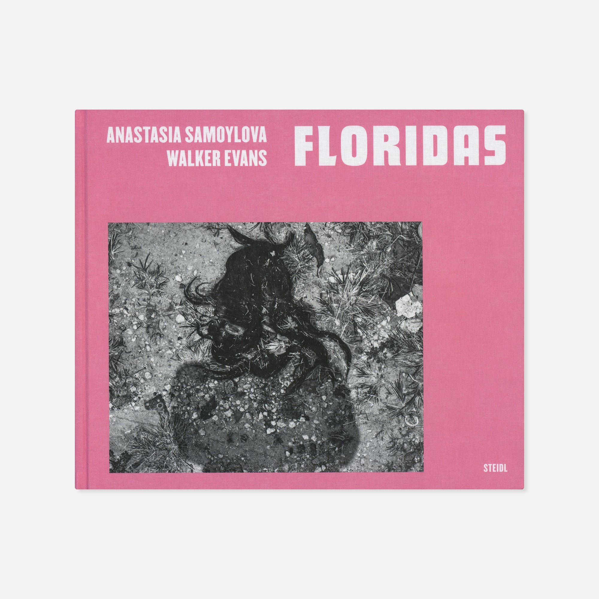 Anastasia Samoylova & Walker Evans — Floridas