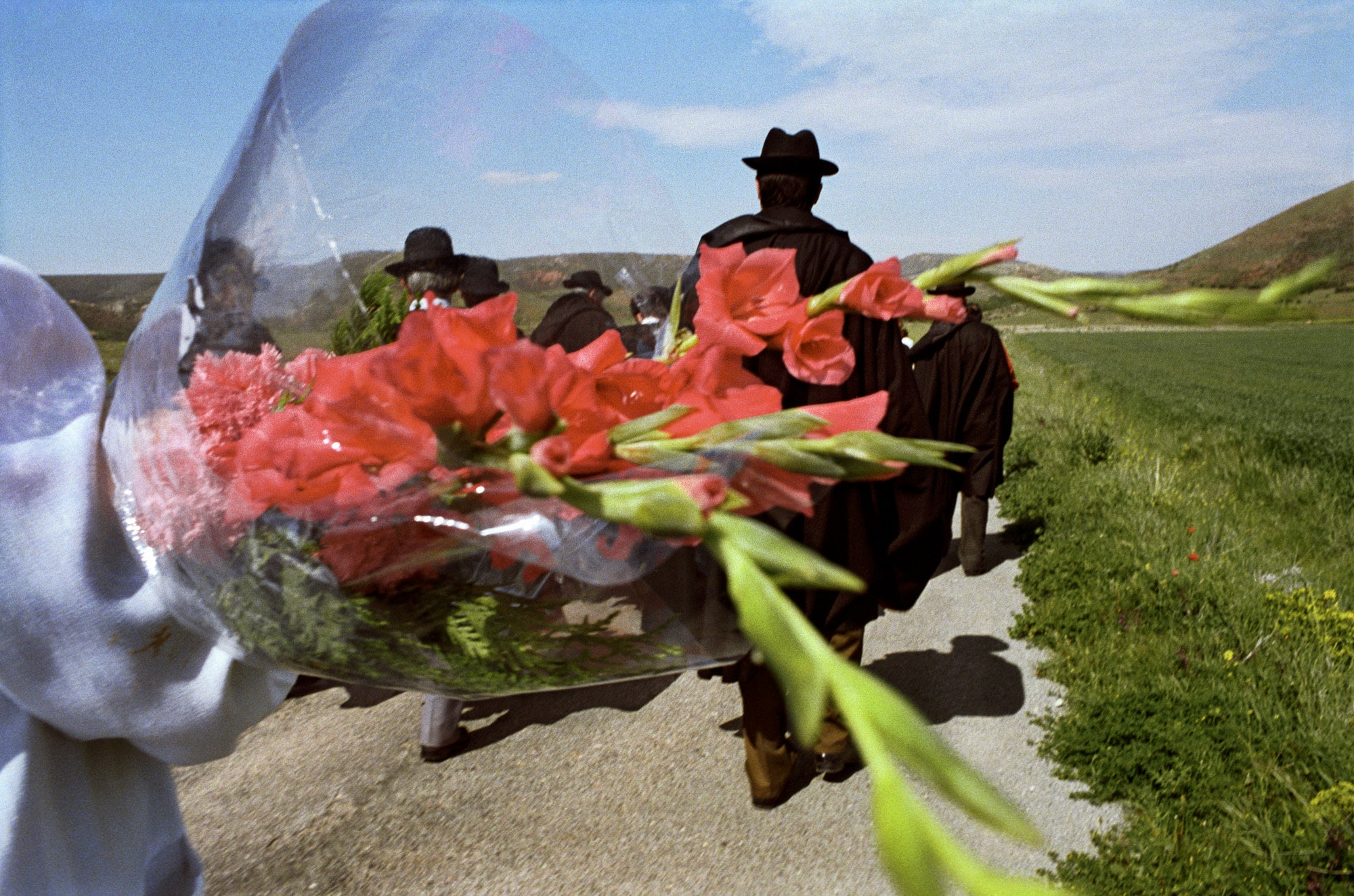 Cristóbal Hara — Vanitas