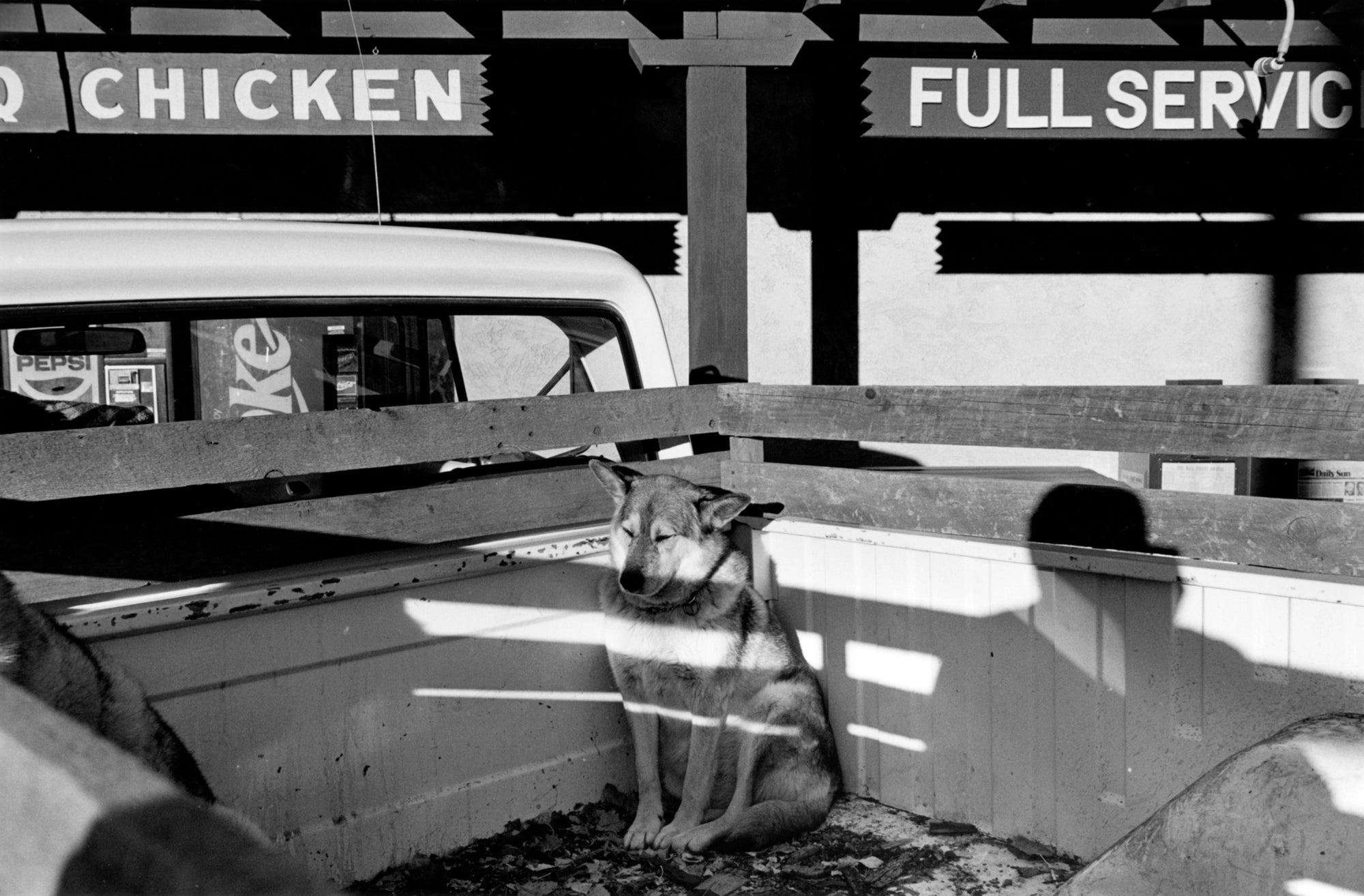 Lee Friedlander — Dog's Best Friend