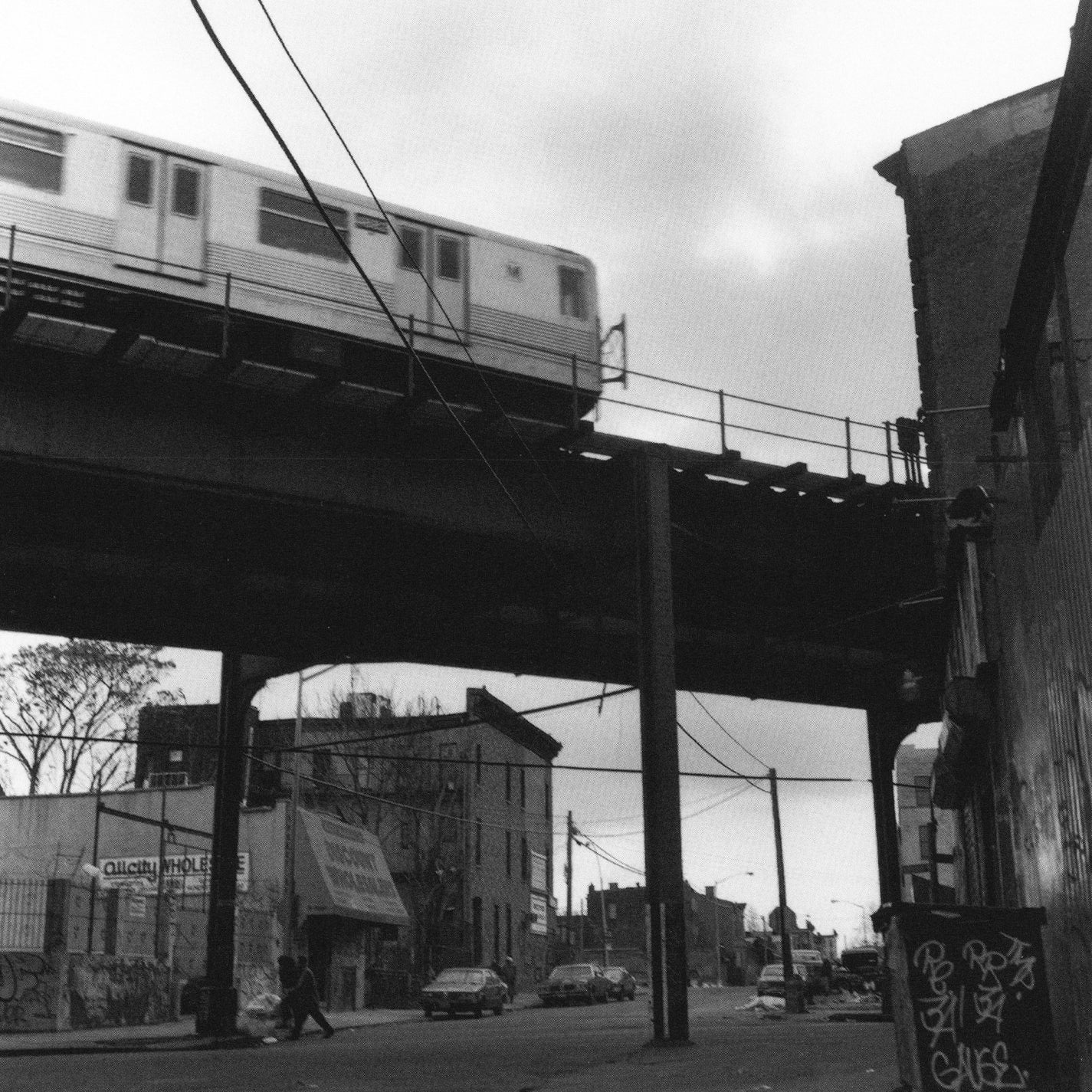 Danny Lyon — Bushwick "Let Them Kill Themselves"