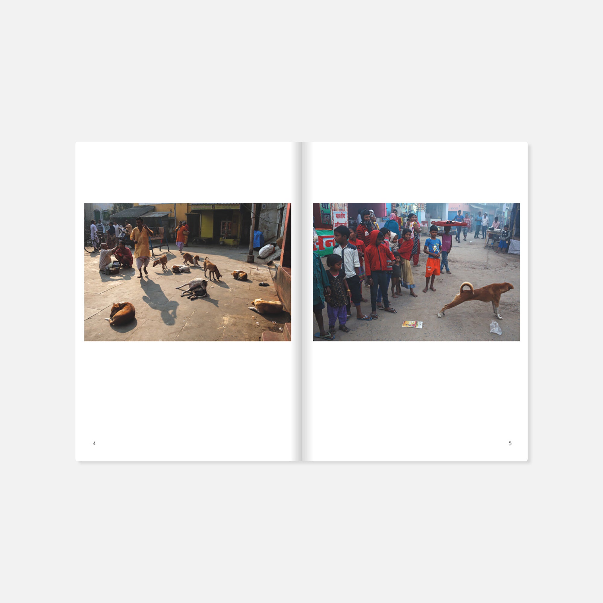 Maciej Dakowicz — Dogs of India