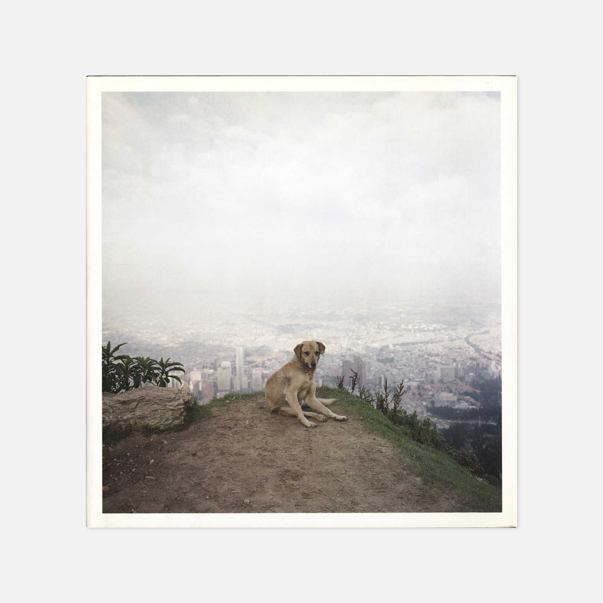 Alec Soth — Dog Days Bogotá