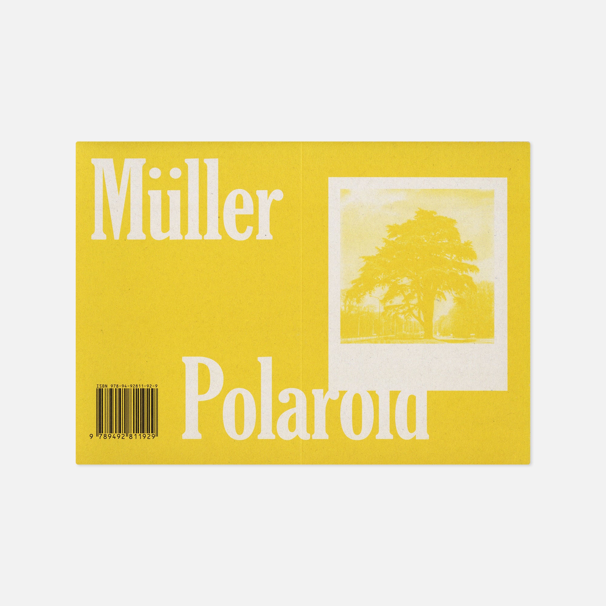 Robby Müller — Flora Polaroids