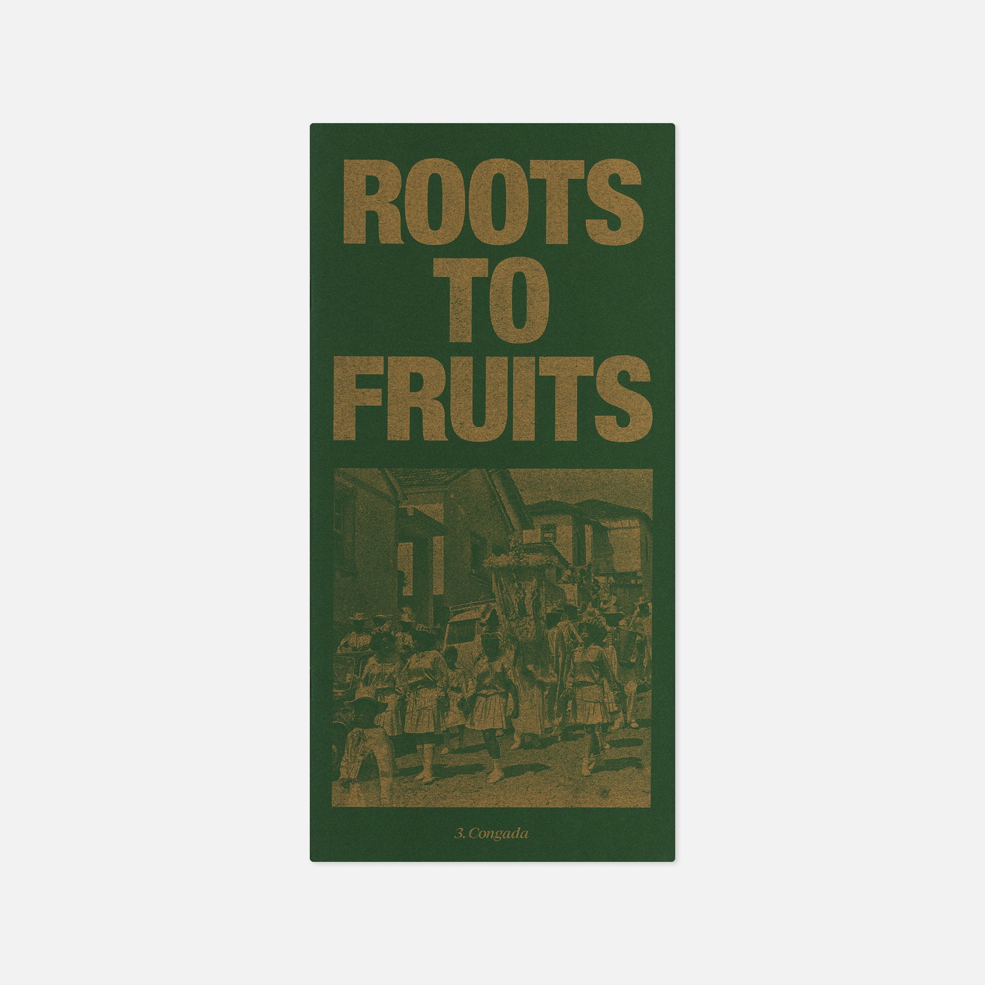 Roots to Fruits — Nº3 Congada