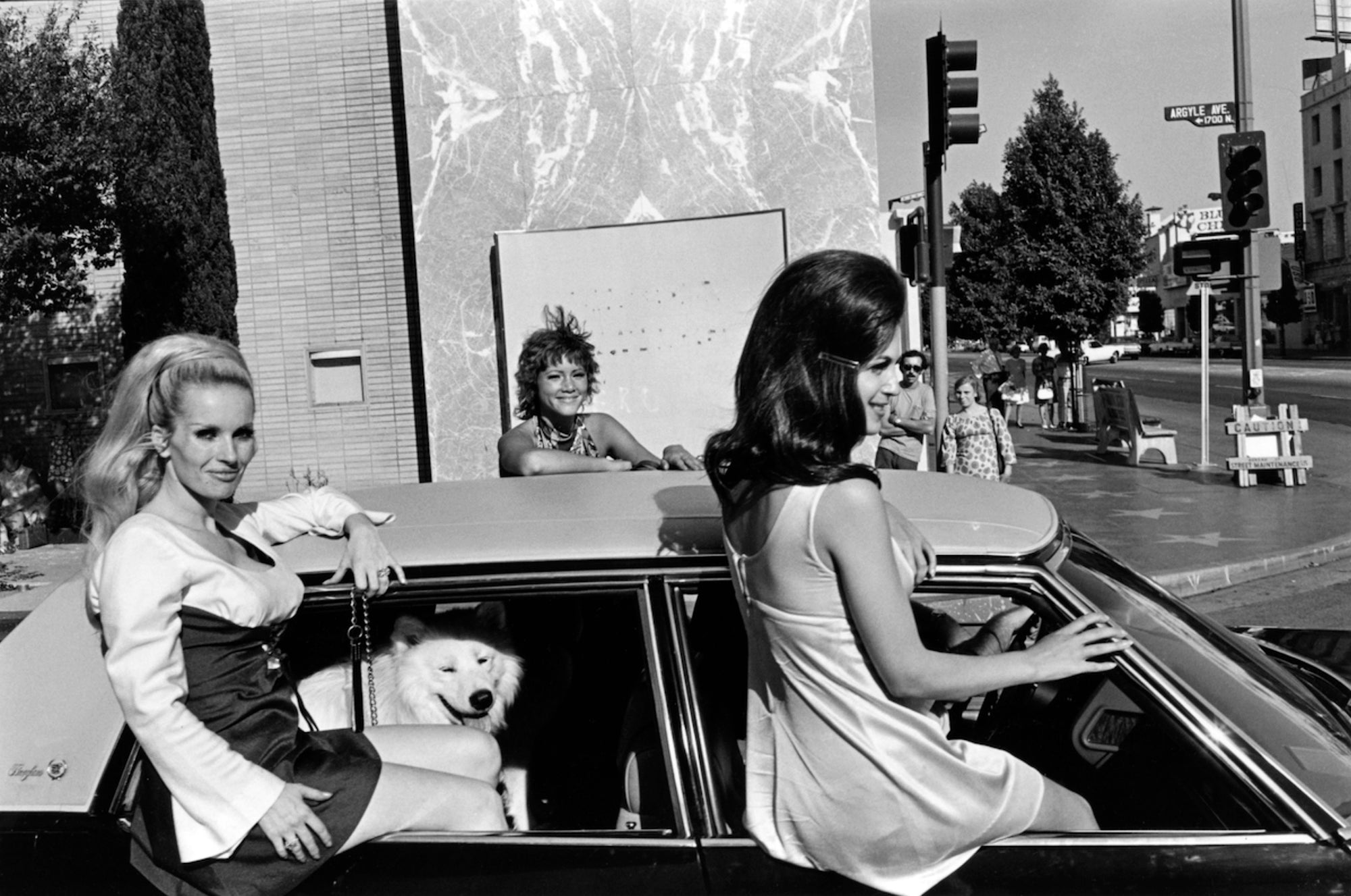 Lee Friedlander — Dog's Best Friend