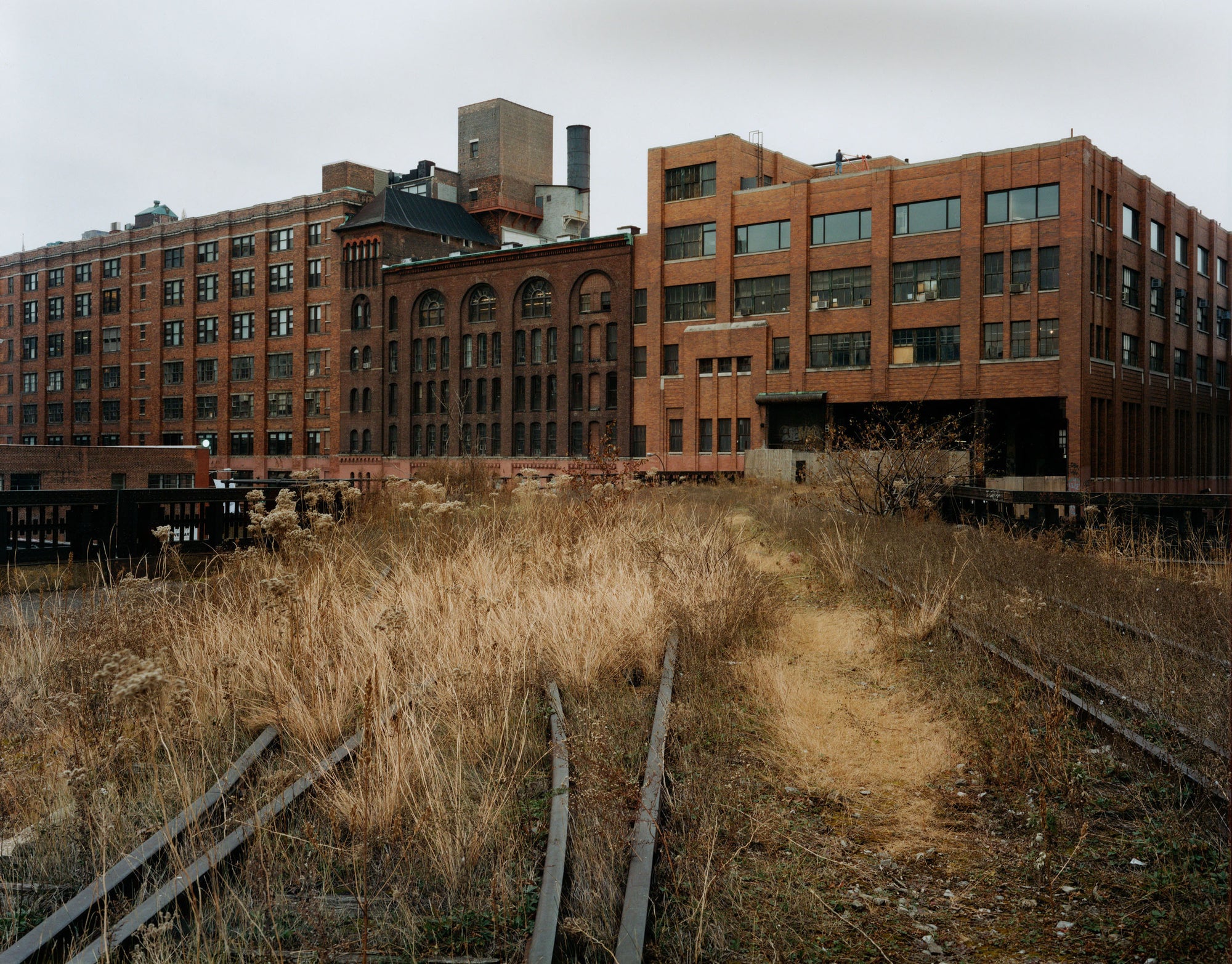 Joel Sternfeld — Walking the High Line