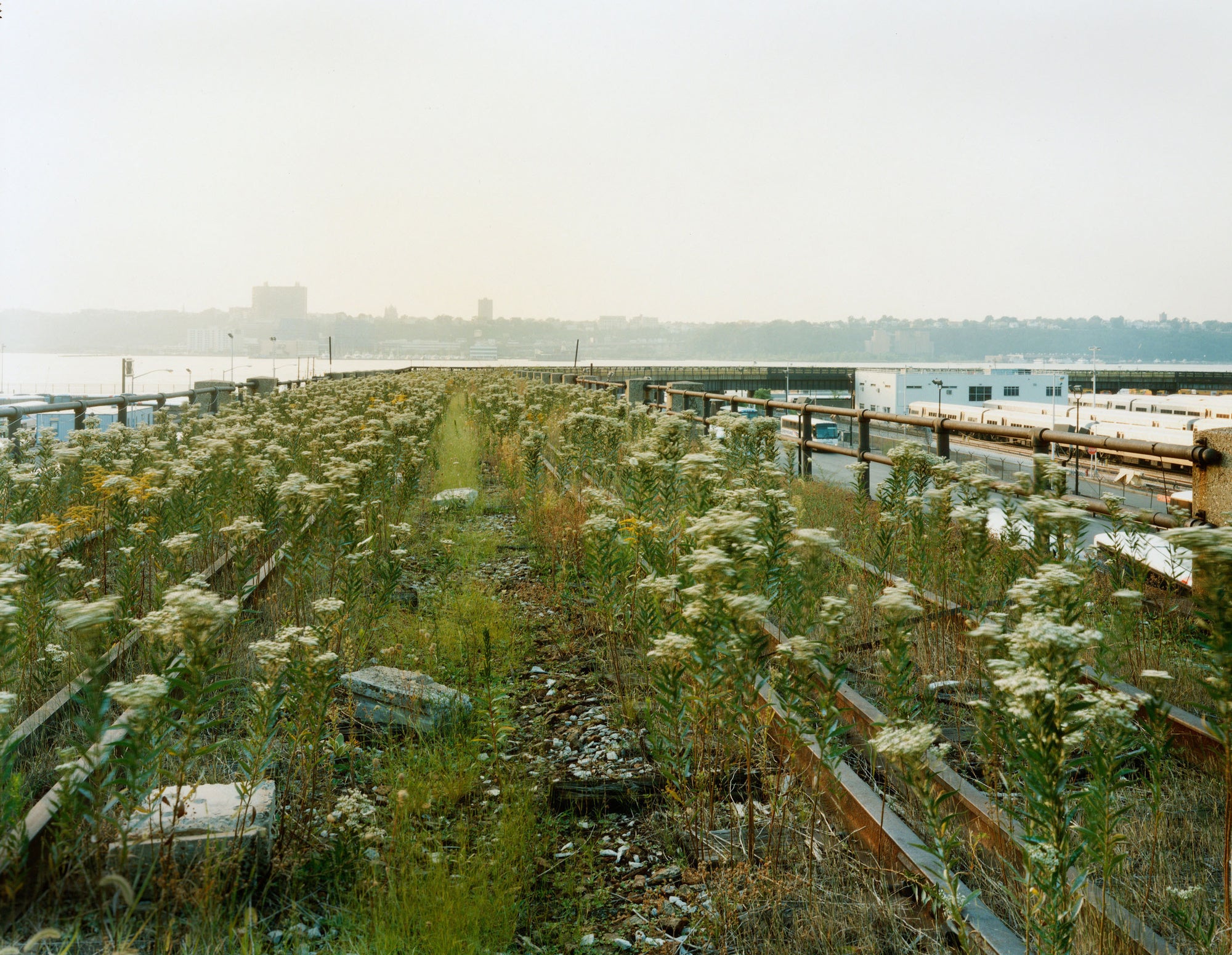 Joel Sternfeld — Walking the High Line