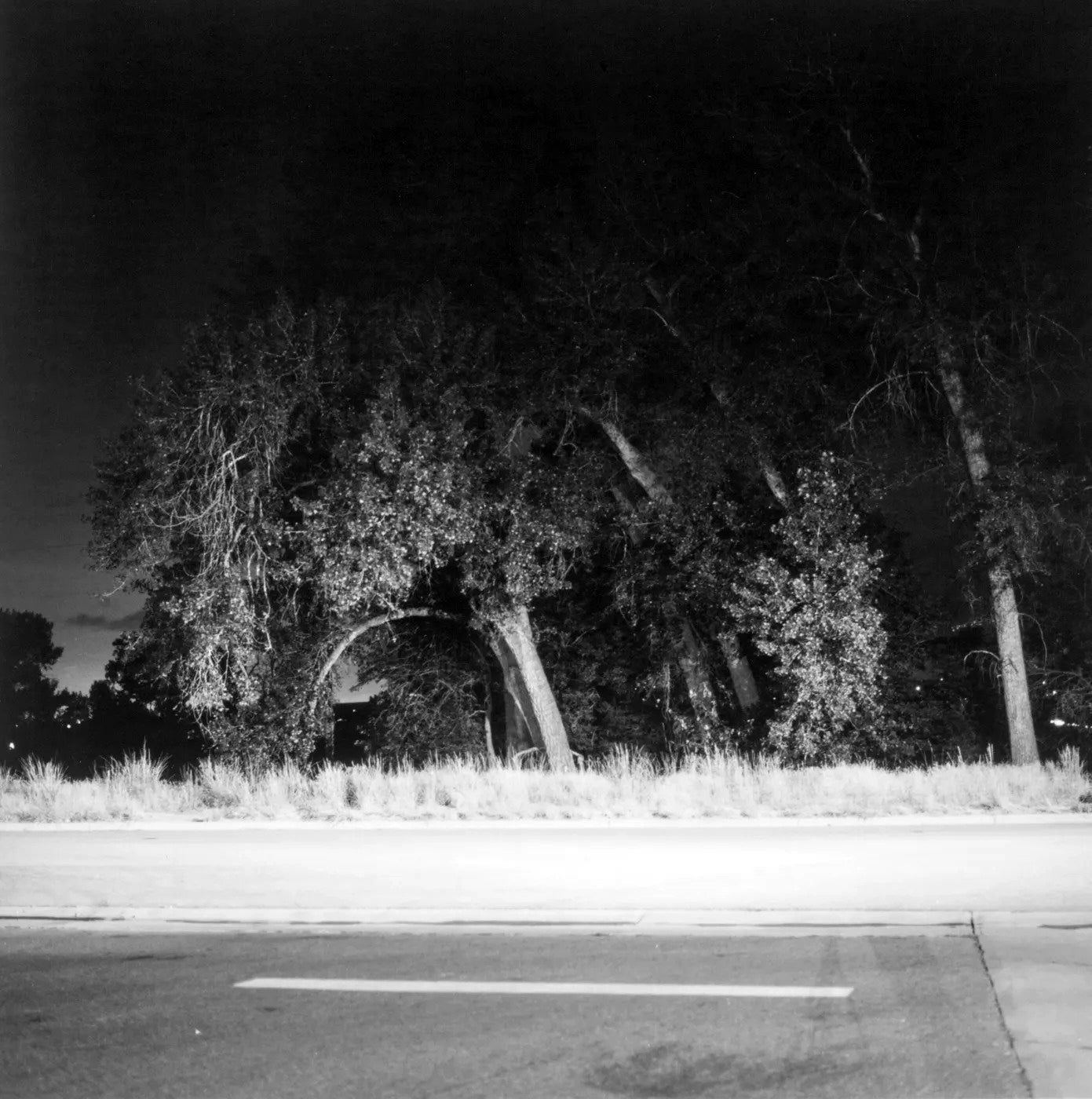 Robert Adams — Summer Nights