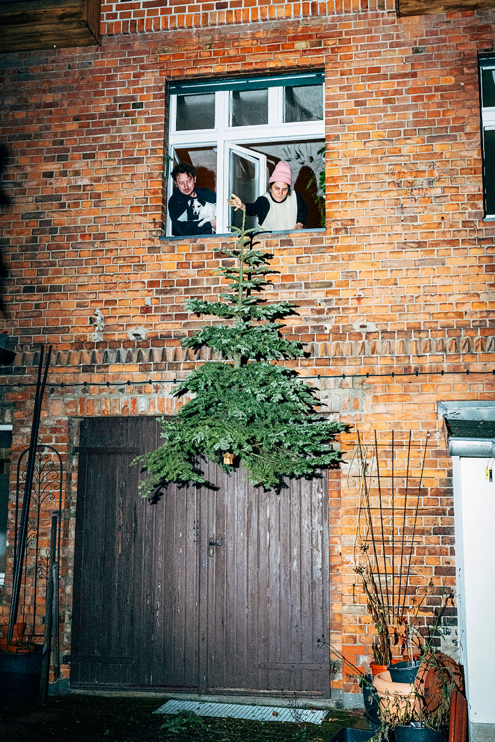 Nikita Teryoshin — O Tannenbaum