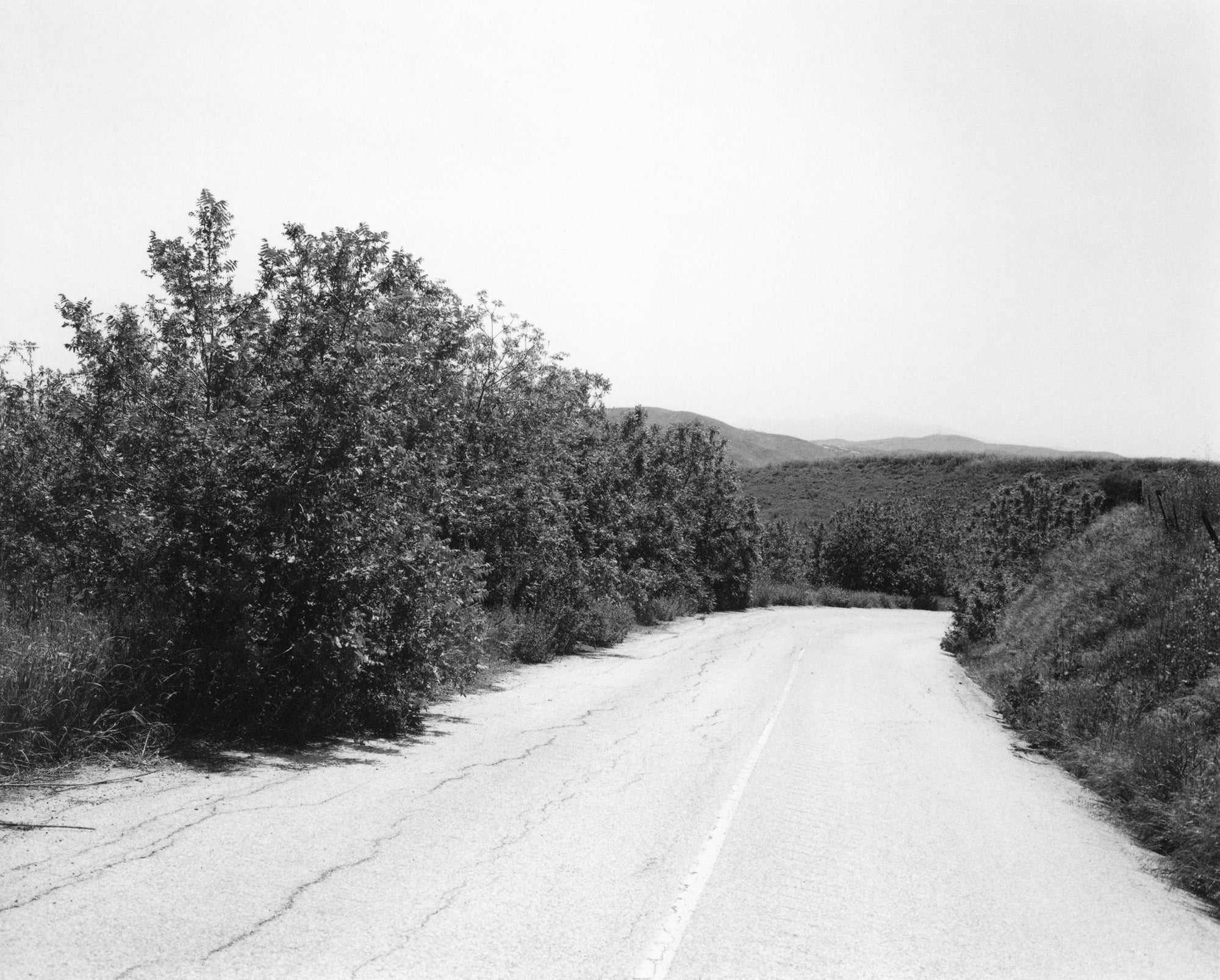 Robert Adams — The Place We Live