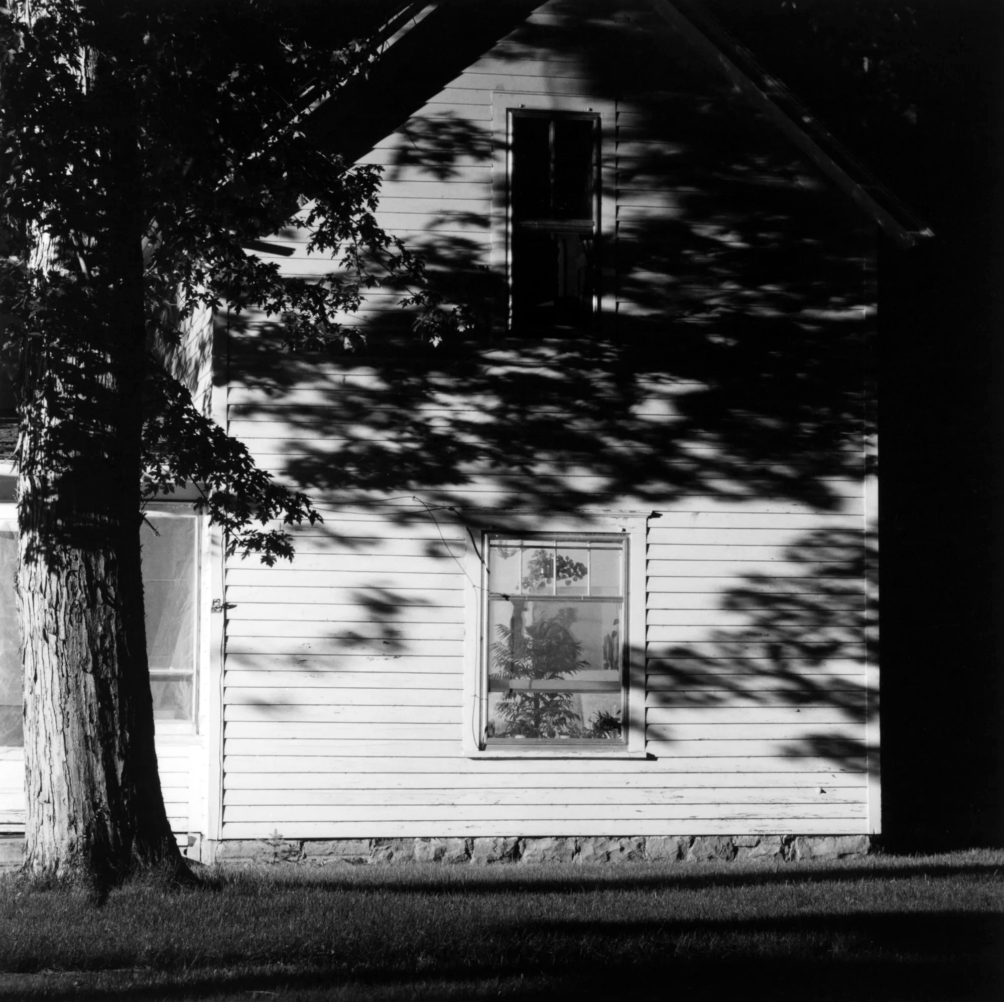 Robert Adams — Summer Nights