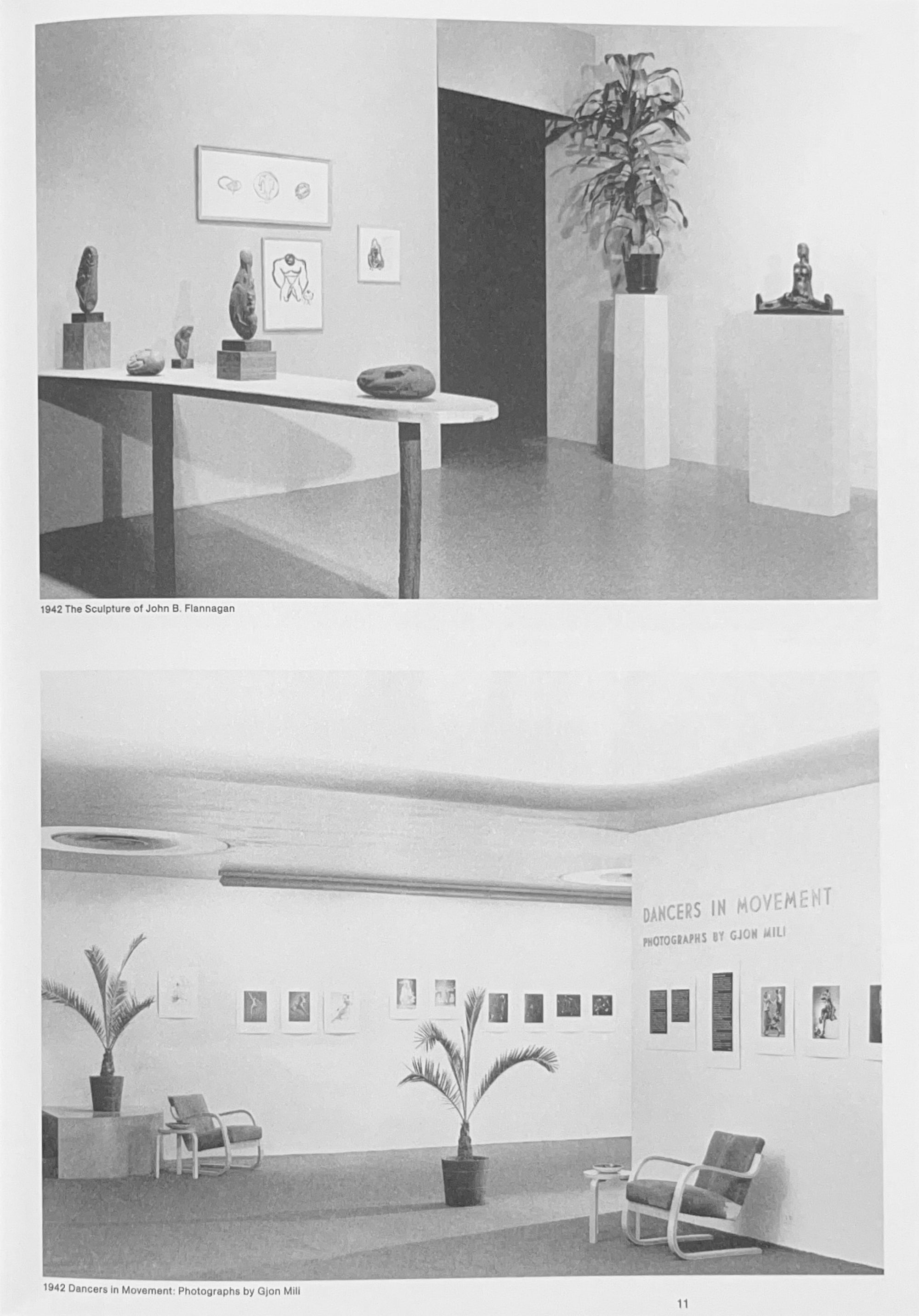 Inge Meijer — The MoMA Plant Collection