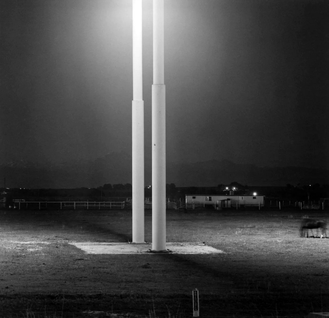 Robert Adams — Summer Nights