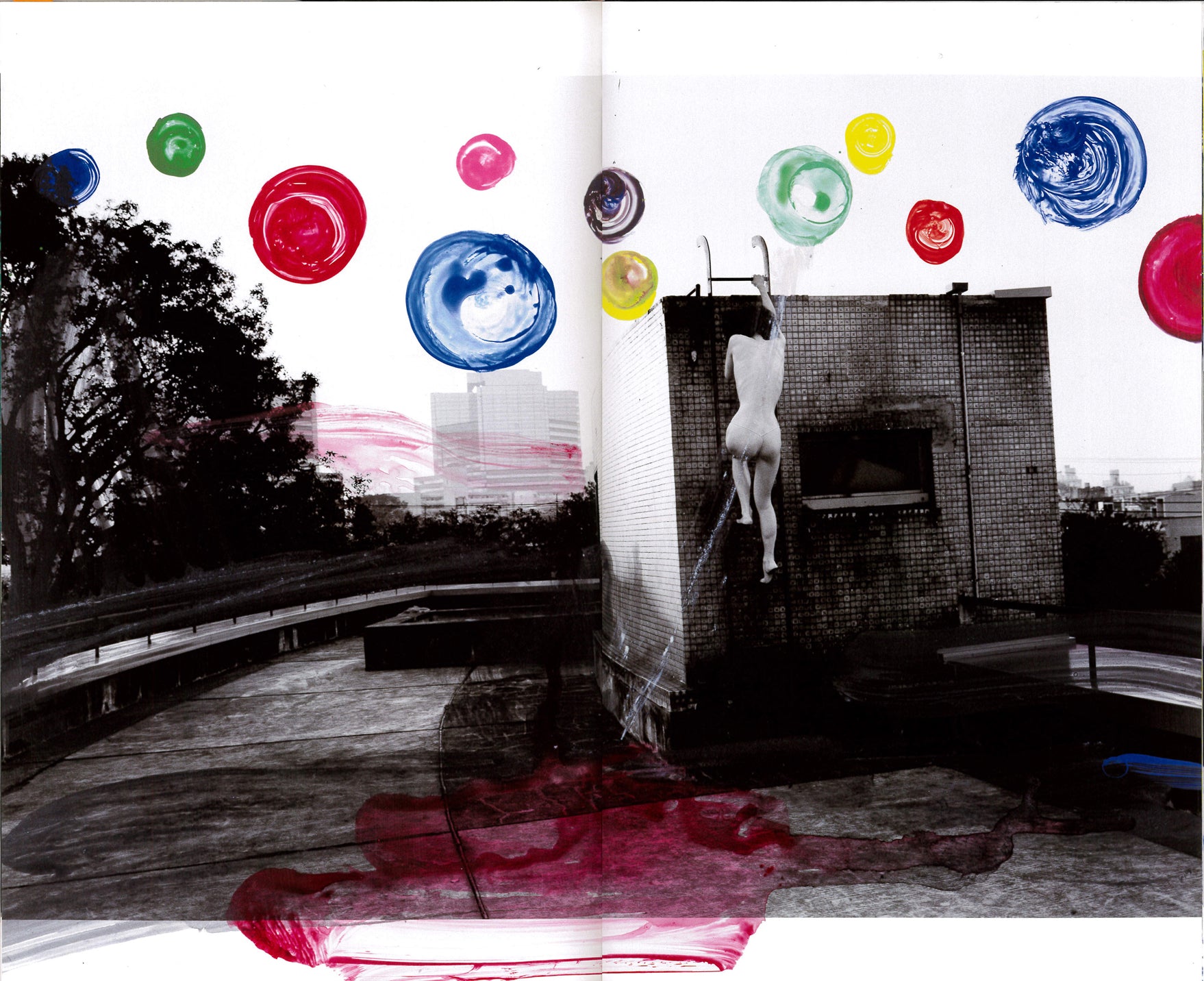 Nobuyoshi Araki — Shiki In