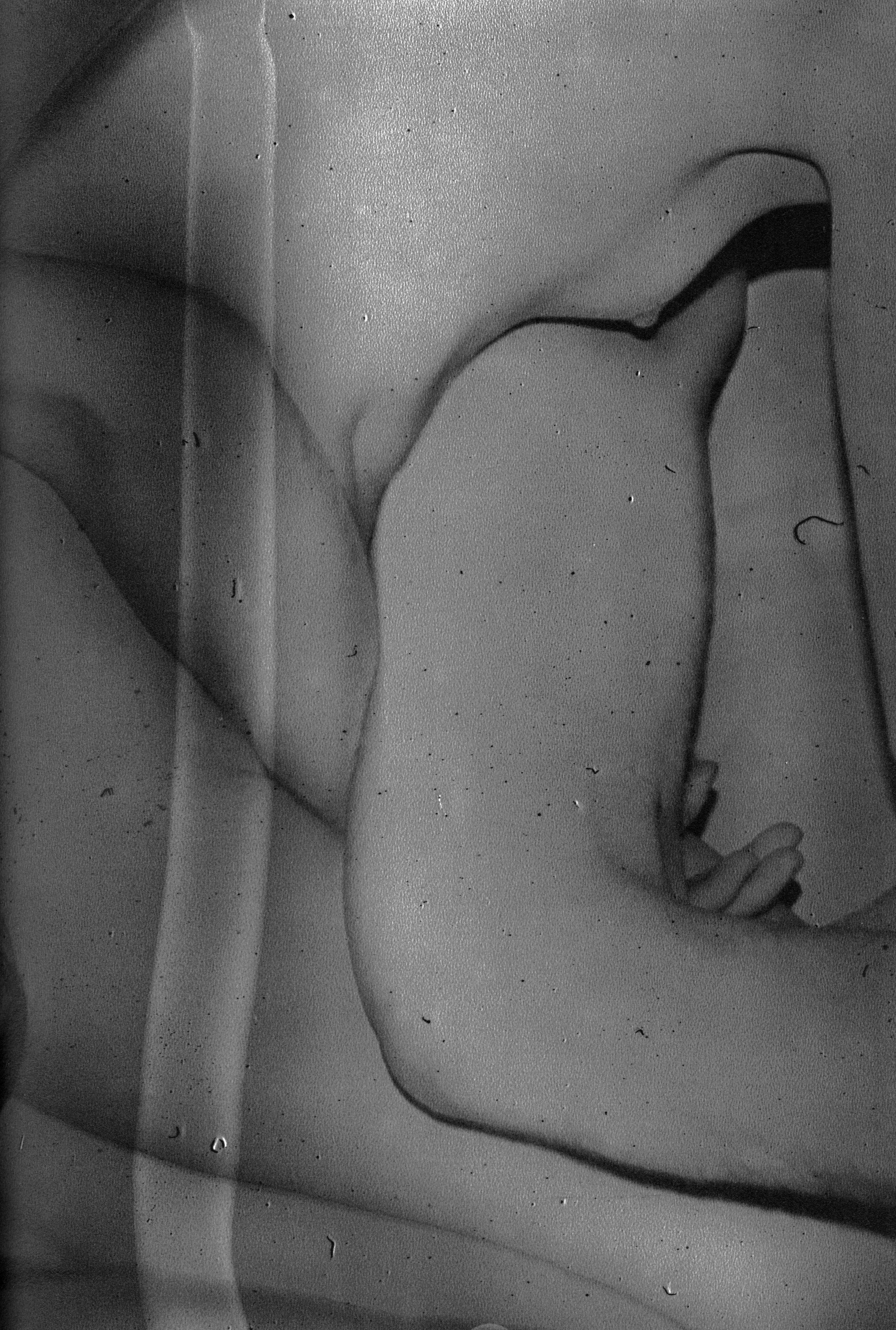 Daisuke Yokota — Corpus