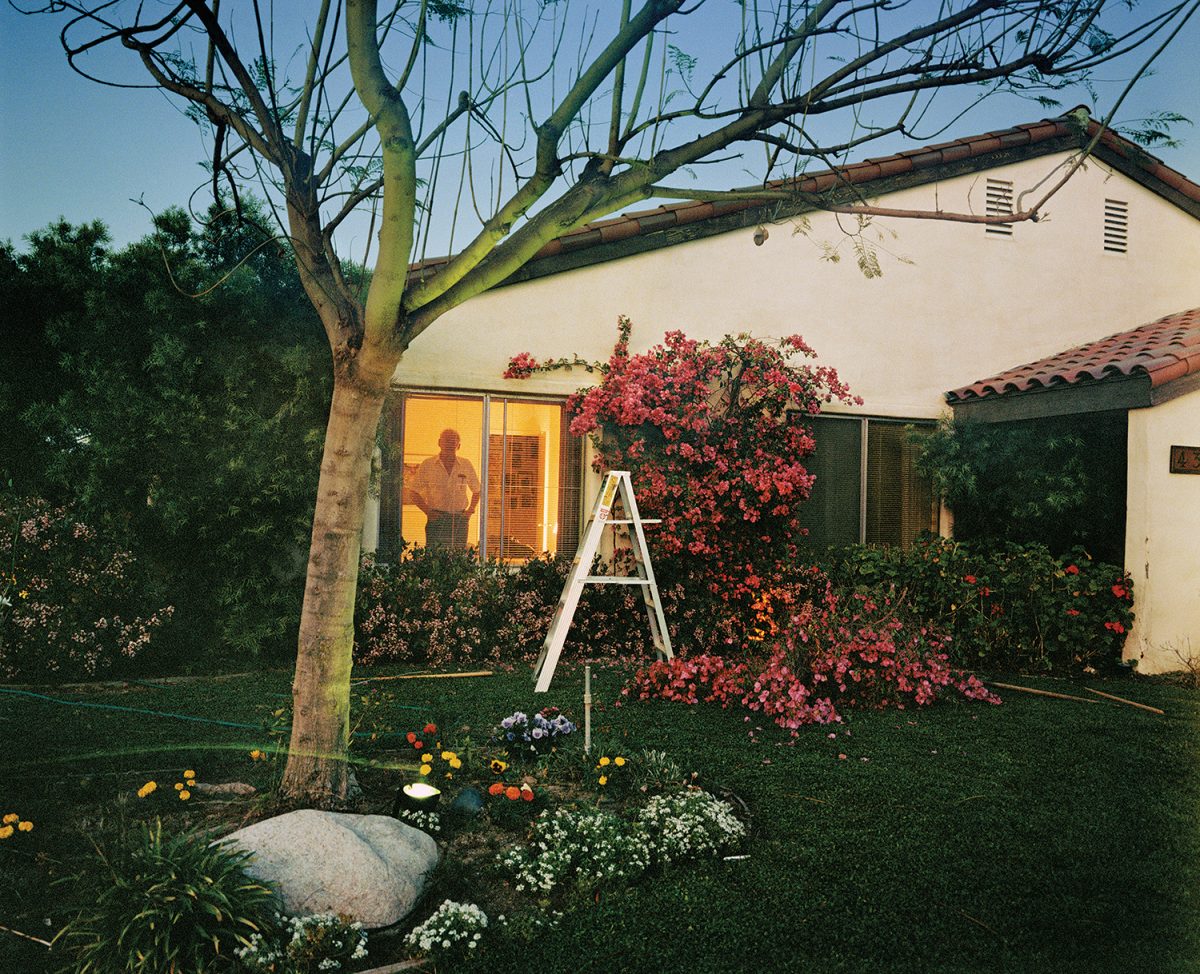 Larry Sultan — Pictures from Home