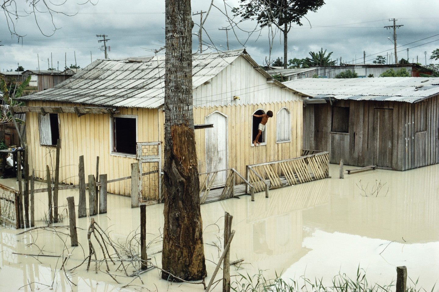 Alex Webb — Amazon: From the Floodplains to the Clouds