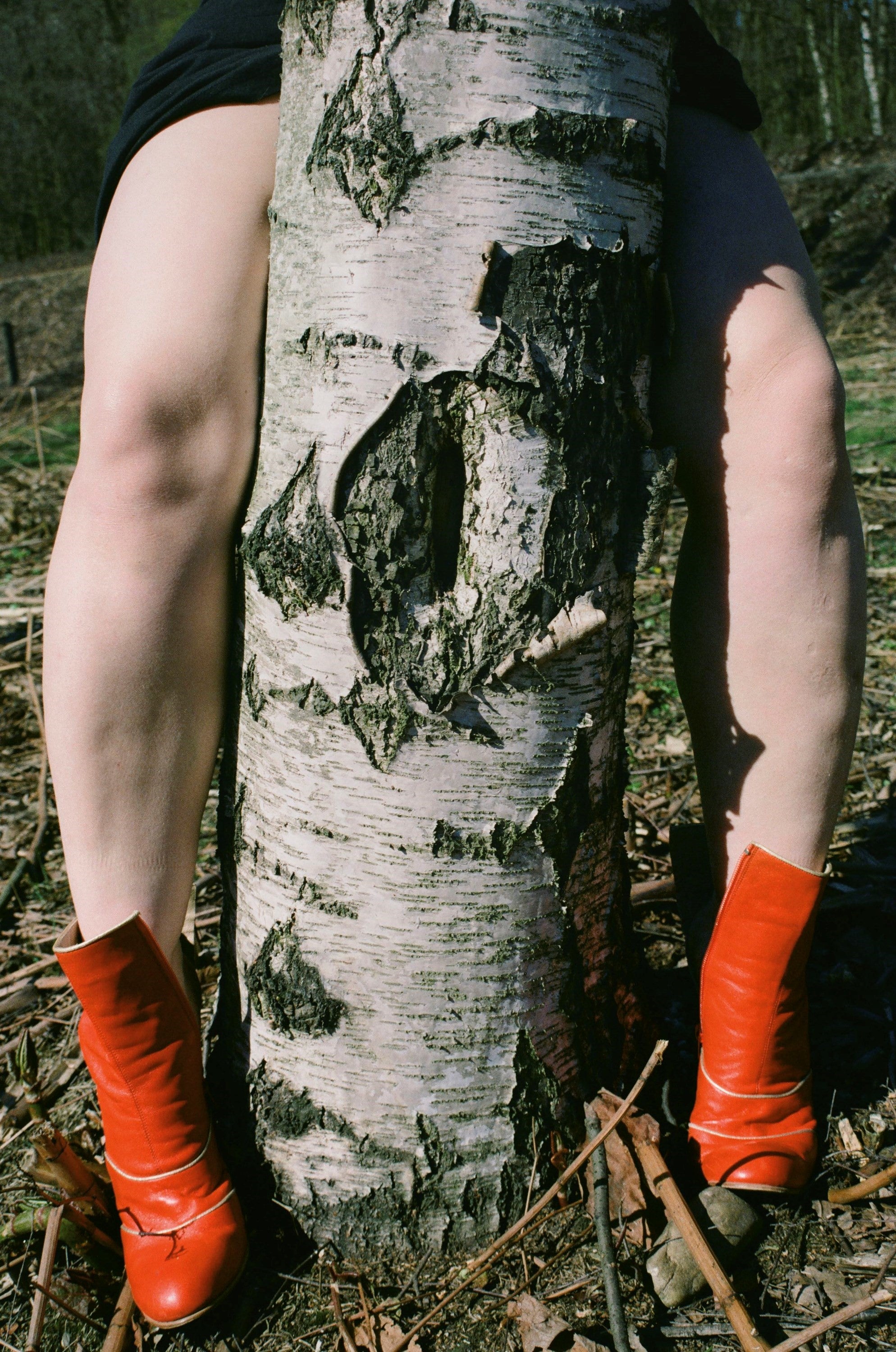 Viviane Sassen — FOLIO