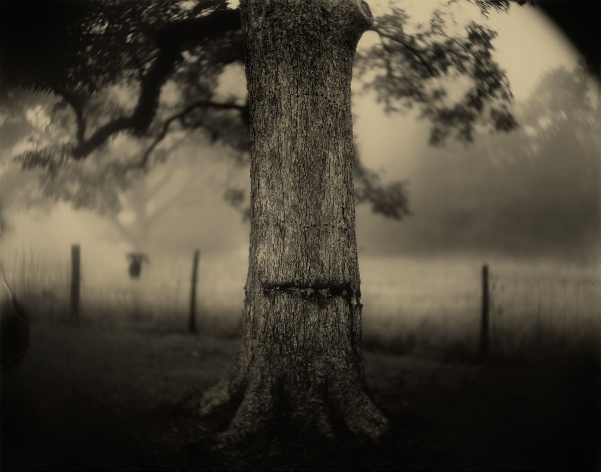 Sally Mann — Mille et un passages (A Thousand Crossings)