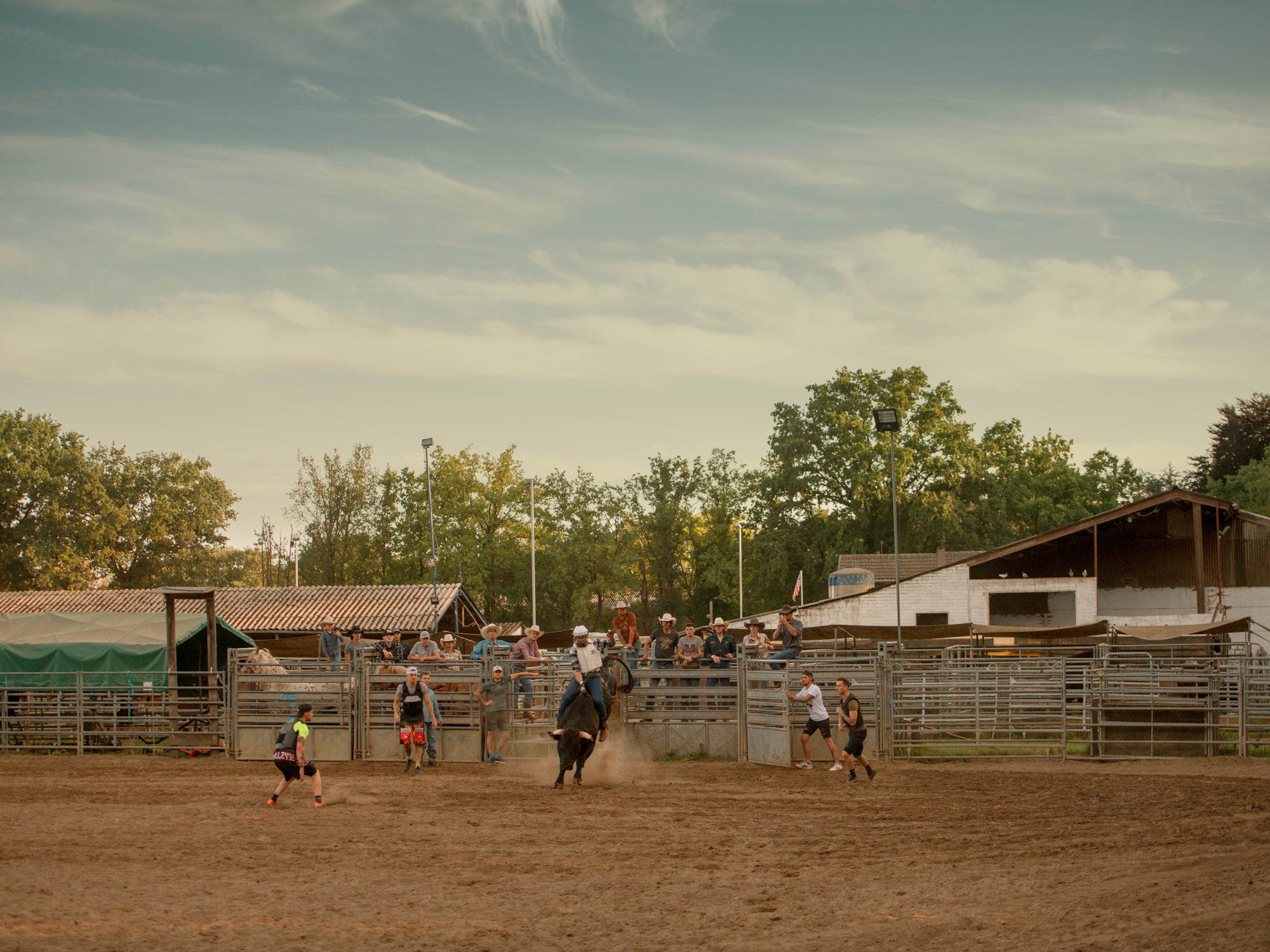 Bjorn Staps — European Cowboy