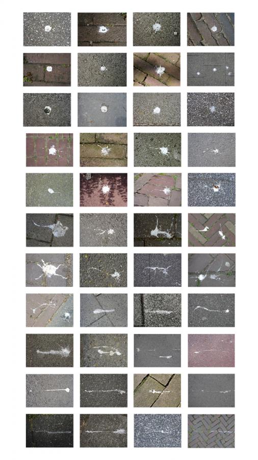 Anne Geene & Arjan de Nooy — Ornithology