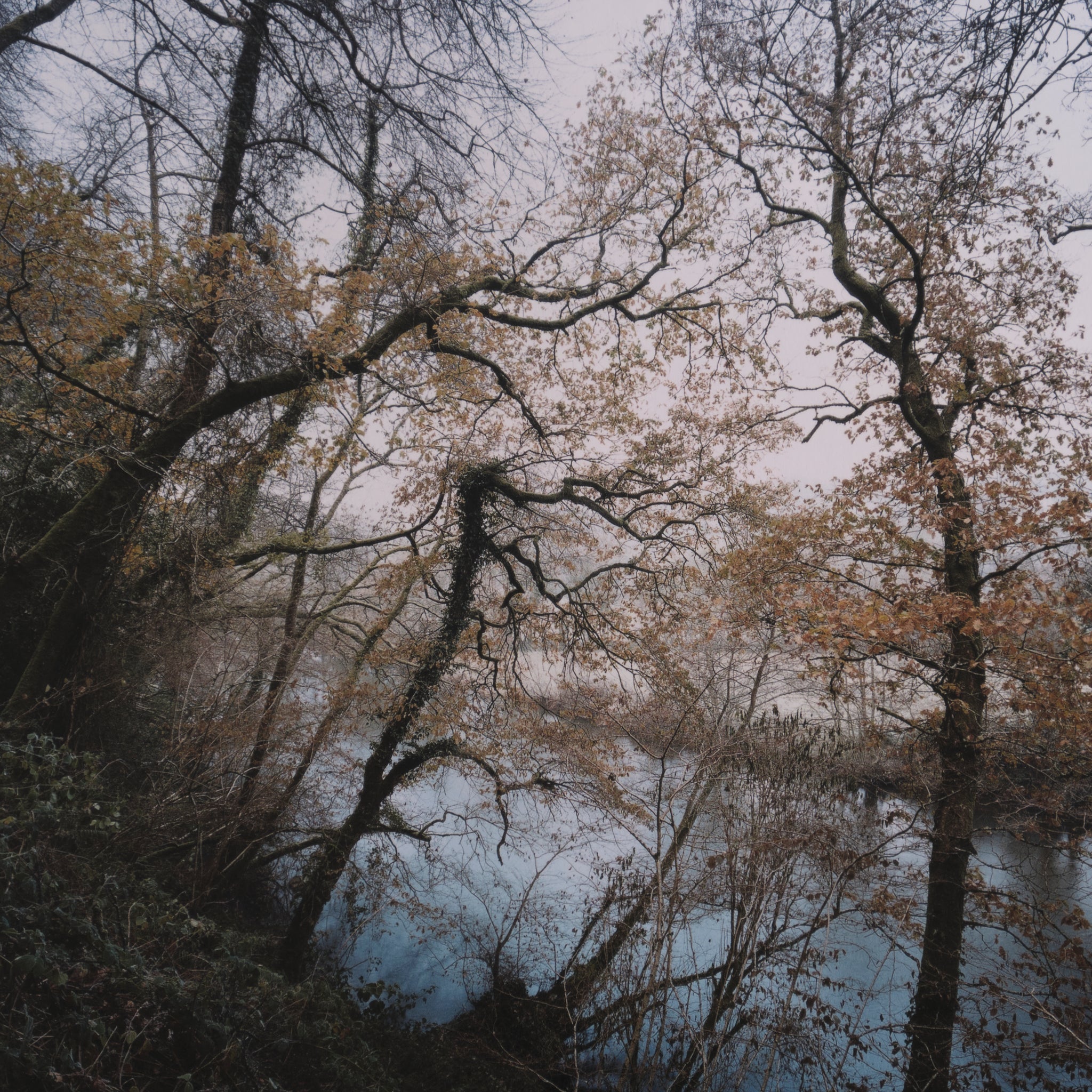 Jem Southam — The River Winter