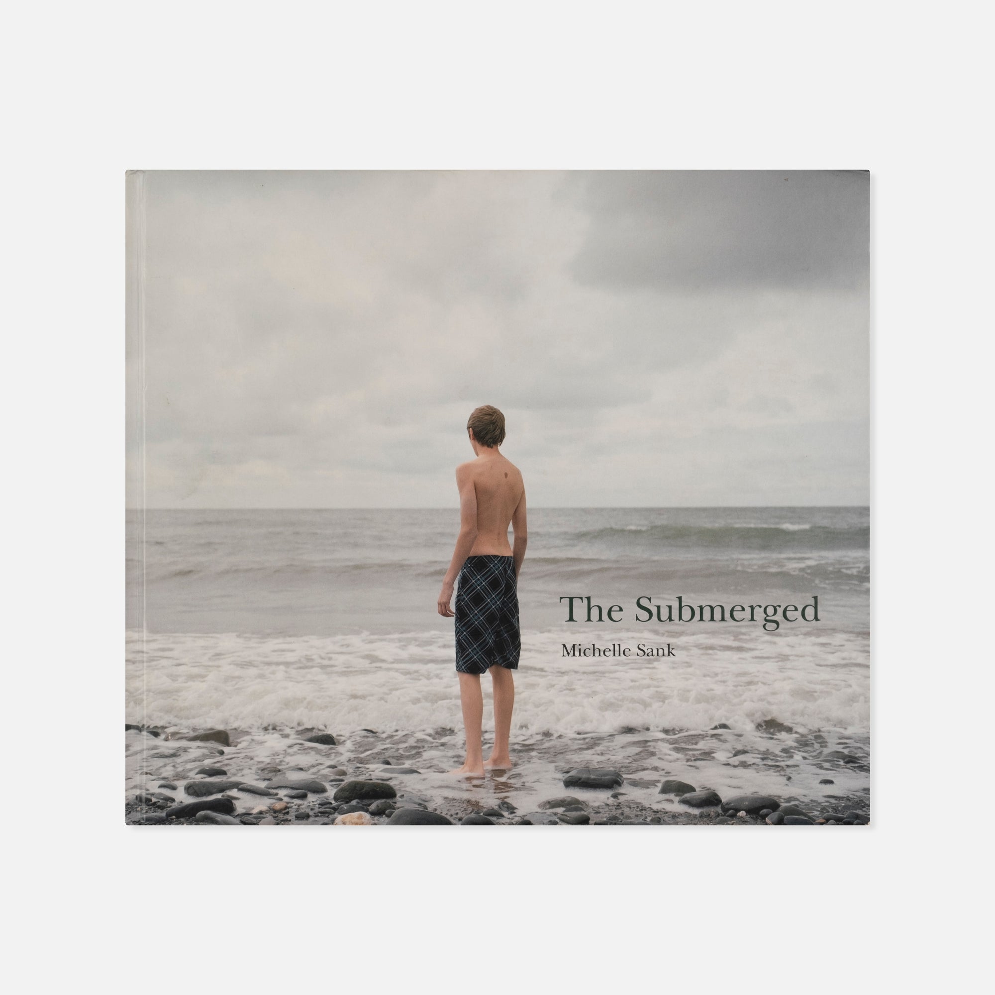 Michelle Sank — The Submerged